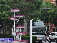 风于木研句子