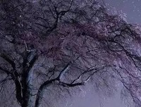 价值百万的人生箴言的句子