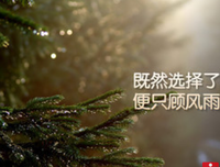 看不懂 读不懂经典名句
