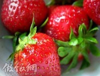 长脖小鹿萌萌哒好词好句