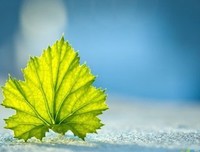 最新的《大是真民到真事看物下不帅》小说句子