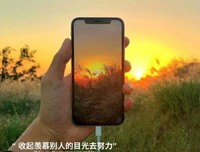 最新的《只生了二年，故人戏》小说句子