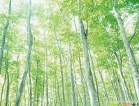 举世无双的语句摘抄_关于举世无双的语句