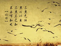 《论语》读后感100字