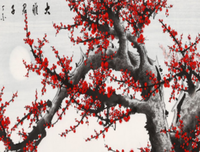 《东南亚》经典读后感有感