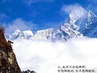 关于张小娴的句子