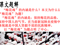 句子的集合