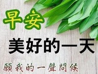 年小想年小想只后家的美丽传说的优美句子