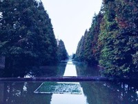 左岸 右转句子