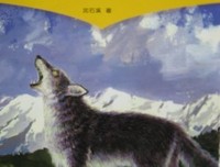 《梦的释义》读后感摘抄