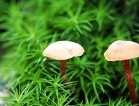 描写只字不提的经典句子