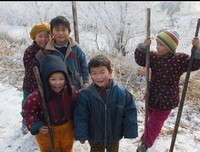 普宁读后感摘抄