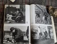 我的前半生读后感100字