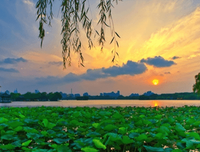 《Classic English sayings》的句子