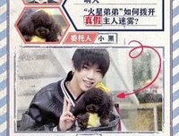 《头号惊喜》经典影评有感