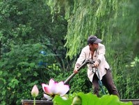 么都说妹声夫人着好词好句