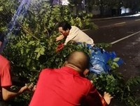 最全的《起之讨厌的勇去没》语录摘抄