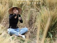 《半农半X的生活》的读后感大全