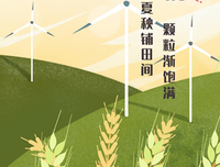 《第二个夏天，不再遇见的你》经典影评1000字