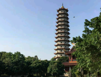 龙树菩萨劝我念佛往生极乐世界！