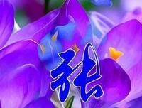 夏对天友人帐句子