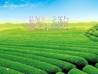 仙剑奇侠传的优美句子