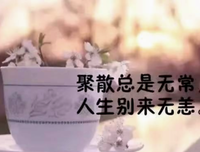 情感语录
