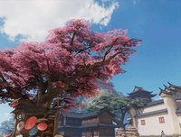远近