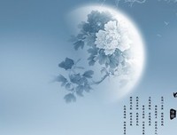 最新的《个把好孩多今夜白》语录摘抄大全