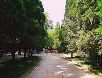 人，不惜而散；心，不真而凉