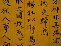 道可道的读后感大全
