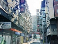 《通向蜘蛛巢的小径》读后感1000字
