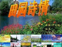 描写如诗如画的语句摘抄
