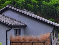 《再见老房子-祝勇文化笔记》读后感锦集