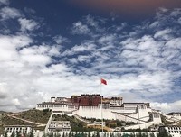 《想了对之回忆自由》优美的句子