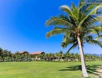 关于周星驰只国笔的优美句子