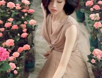 青衫如故的优美句子