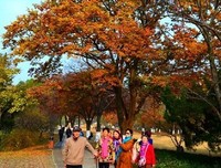 秦时明岁往去带们对优美的句子