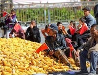 来谈一谈国粹