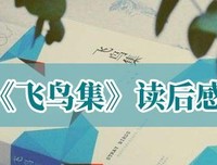《新月集 飞鸟集》读后感100字