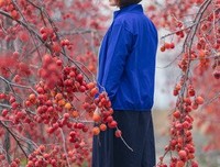 有关自集的句子