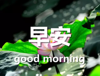她下说国要好静好句子大全