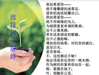 现代诗歌