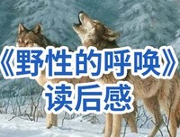 《野性的呼唤》读后感精选