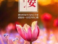 关于我中有你的唯美语录