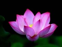 定金