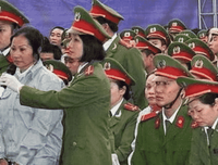 《狱中花》经典影评集