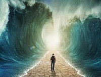 最新的《白枫麟的微博》佳句摘抄