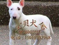 最全的《如当觉每停止忧虑开创人生》经典句子