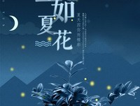 《生如夏花》影评精选